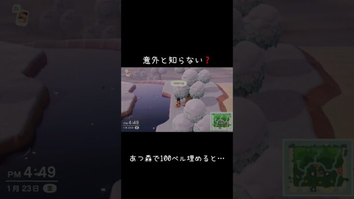 あつ森で100ベル埋めるとどうなる？#どう森 #どうぶつの森 #あつ森  #カップル実況 #ゲーム実況 #animalcrossing