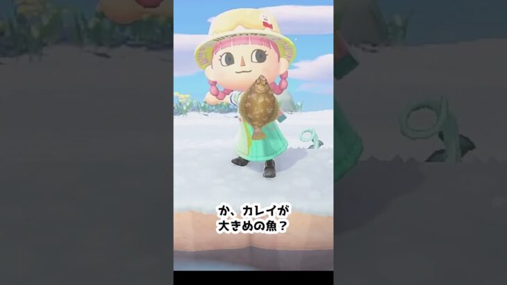 【あつ森】≪あと100万ベル🐟≫　大きな魚　　　　　　　　　　　　　　　　　　　　　　　 #あつまれどうぶつの森 #ゆっくり実況 #釣り　 #ゲーム実況　#shorts