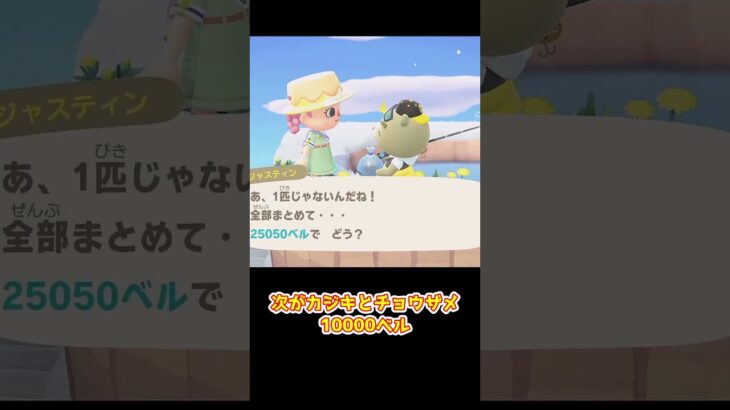 【あつ森】　釣りだけで1000万ベル稼ぐには　　　　　　　　　　　　　　　　　　　　　 #あつまれどうぶつの森　 #ゆっくり実況　 #釣り　 #ゲーム実況　#shorts