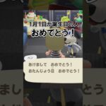 1月1日生まれの人おめでとう！【あつ森】@ほのげ