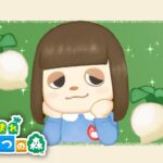 【あつ森】のんびり朝からやる初めてのどうぶつの森【1月13日】