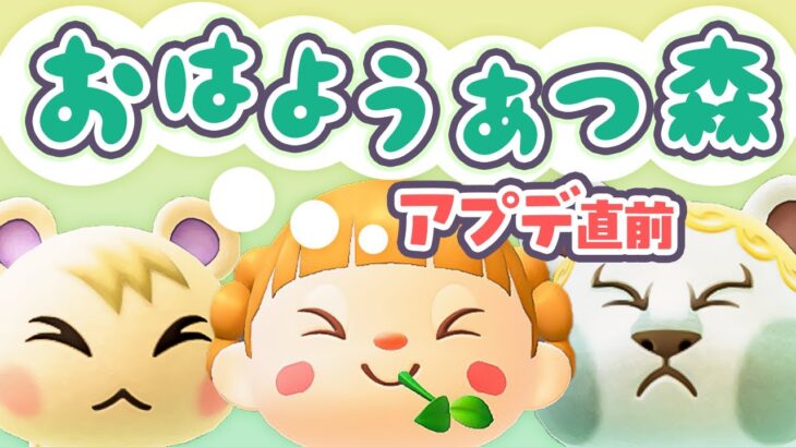 アプデ直前！朝活🐓おはようあつ森！1/13(火)【あと2日】