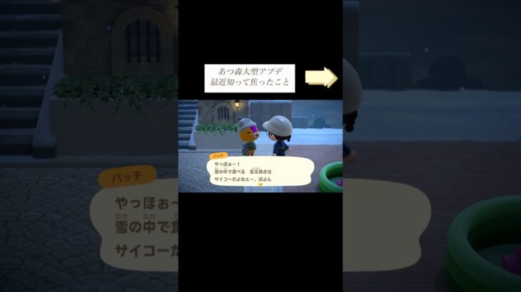 あつ森 大型アプデまであと約12時間…！(フライングもある？) とにかくベルと素材💰🪵#あつまれどうぶつの森 #あつ森 #ゲーム