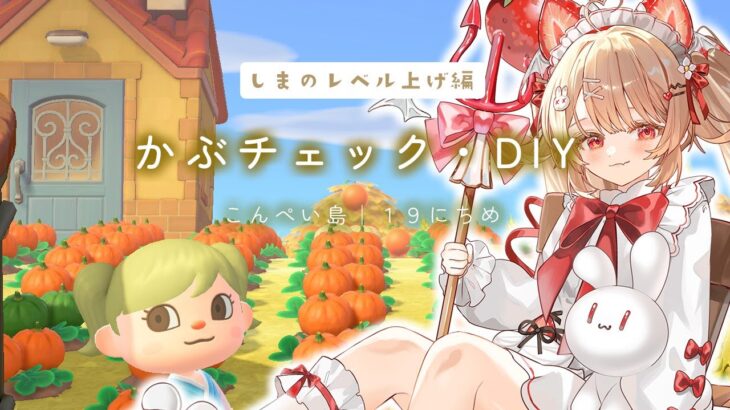 〖あつ森｜朝活〗こんどこそカブ勝利したい！｜こんぺい島19日目〖#フレリアランヴェルセ｜#個人vtuber〗