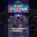 2026年も大事な所で噛む男 【あつ森】 【実況】 #あつ森