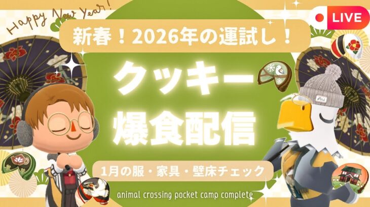 【ポケ森コンプリート】新春！クッキー爆食で2026年運試し！和風レイアウト作る！
