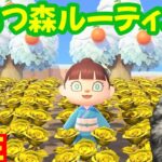 【あつ森】午後のカラメルロ島ルーティン 2026/1/8