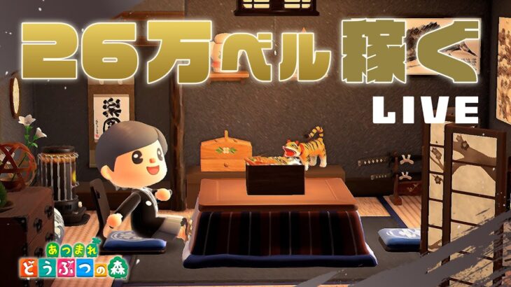 【あつ森】2026年！26万ベル稼ぐまで終われない配信💰💰💰【あけましておめでとうございます】