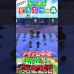 【あつ森】　出遅れ借金あつ森生活第22話『新年！』