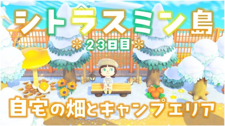 【あつ森】自宅の畑とキャンプエリアを島クリ！シトラスミン島＊23日目＊【生放送】