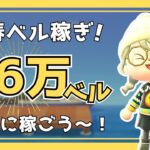 お年玉ベル稼ぎ！目指せ26万ベル！-am11:00～｜あつ森雑談ラジオ【睡眠・作業用】