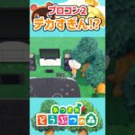 【あつ森】プロコン2、デカすぎん！？│AnimalCrossingNewHorizons#shorts #switch2 #あつ森 #あつまれどうぶつの森 #animalcrossing #acnh