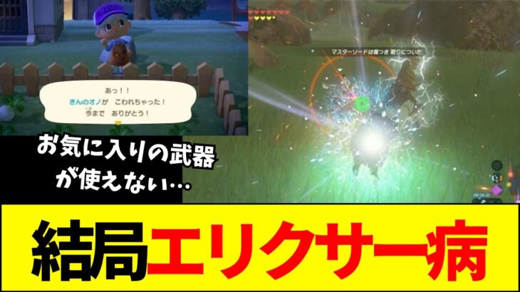 【疑問】ゼルダやあつ森の「武器が壊れる仕様」は本当に必要なのか？賛否両論の結論がこれ【ネットの反応】【2ch 5ch】