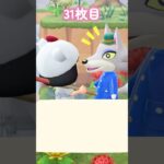 【あつ森】第2回ニャン島離島ガチャpart3🐱