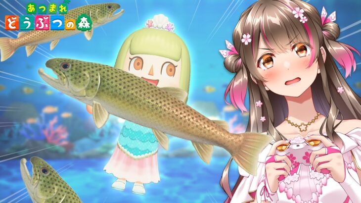 【あつ森】鬼畜！幻の魚「イトウ」を模型分3匹釣るのはどれ位大変なのか？やってみるぞー！【あつまれどうぶつの森 配信】