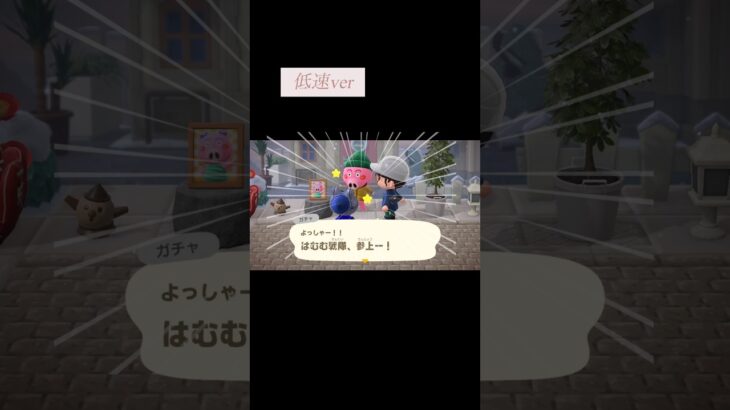 【あつ森に人生の疲れを癒してもらってる大人】筋肉ハキハキキャラが島に3人います🏝️#あつまれどうぶつの森 #あつ森