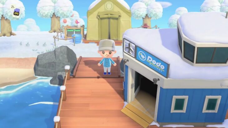 【実況】博物館完成計画#3【あつまれ どうぶつの森】