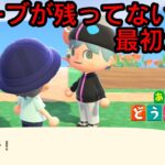 最初から始めるあつ森生活#3【あつまれどうぶつの森】