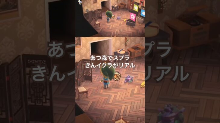 【あつ森】スプラの「きんイクラ」ちゃんと動くの嬉しすぎる。梅桃さんにもらったよ。 #あつ森 #スプラトゥーン3 #あつまれどうぶつの森 #どうぶつの森 #スプラ3 #きんイクラ #shorts