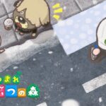 アプデまであと3日【あつ森】