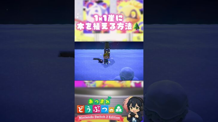あつ森 3.0.0 Switch 2 Edition で出来る！　1×1の崖の上に木を植える方法！ #バグ #NintendoSwitch2 #どうぶつの森 #AnimalCrossing #ACNH