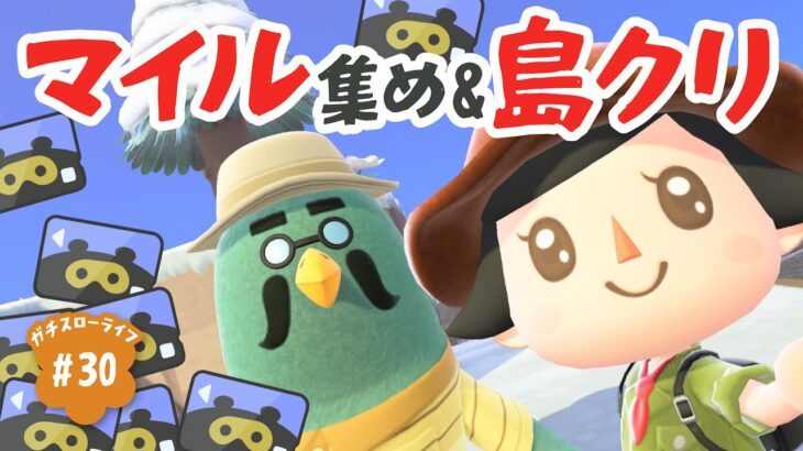 【あつ森】アプデに向けてもやること盛りだくさん！島の開発を進めます｜よりどり島#30