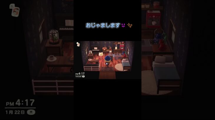 あつ森　#336　まったりしていきませんか？🐿️🎵