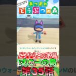 【あつ森】　出遅れ借金あつ森生活第35話『ぱにーの島』