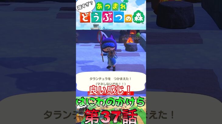 【あつ森】　出遅れ借金あつ森生活第37話『はにわのかけら』