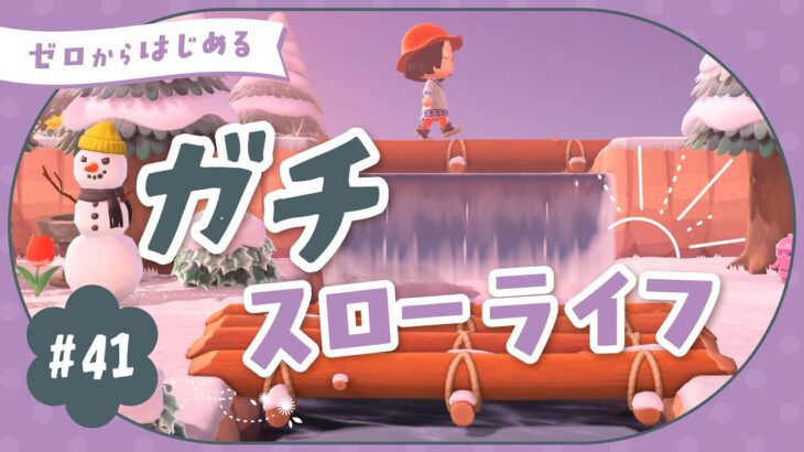 【あつ森】カブ買うぞ〜！引続き島クリも｜よりどり島#41