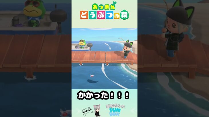 大物?　 #あつ森 #あつまれどうぶつの森 #50代ゲーマー