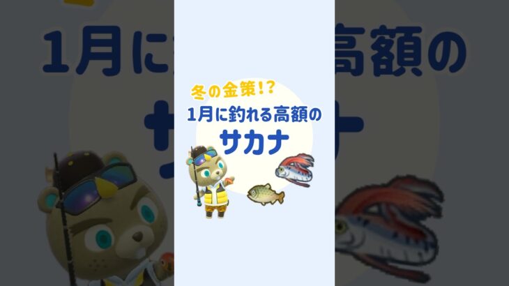 【あつ森】冬の金策💰5000ベル以上の魚！