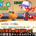 【あつ森】株価528ベル！？売りたい人あつまれ！ゼルダ家具も欲しいぞ！