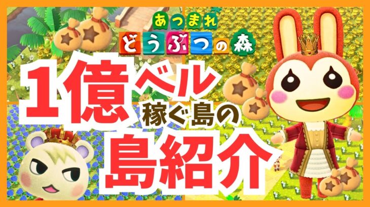 【あつ森】１億ベル稼ぐ島の島紹介！島レベル星5つ！金バラとすずらんに囲まれた豪華な島。ベル稼ぎ、お金稼ぎしたい人のための島づくり！(ACNH)