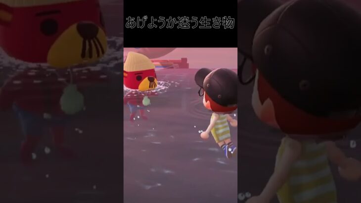 ○○な生き物5選!〔あつ森、あつまれどうぶつの森〕#shorts