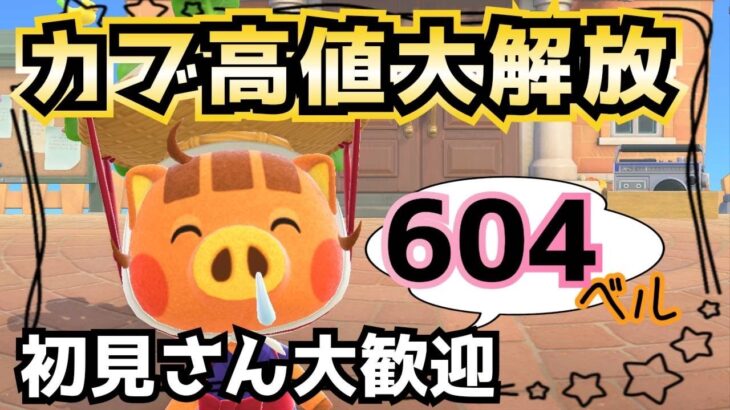 【あつ森実況】アプデ記念！カブ価604ベル＆ポケパンまで素材取り放題＆！参加型！【初見さん歓迎！】