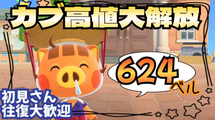 【あつ森実況】アプデ記念！カブ価624ベルでベル活放題！参加型！【初見さん歓迎！】