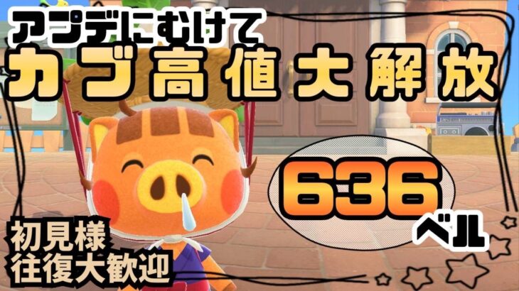 【あつ森実況】最後だよ！カブ価最大633ベル！参加型！【初見さん歓迎！】