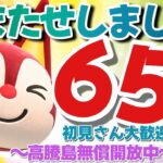 【あつ森】初見さん歓迎です　「651ベル」の島開放中！【カブ価】【あつ森 参加型】