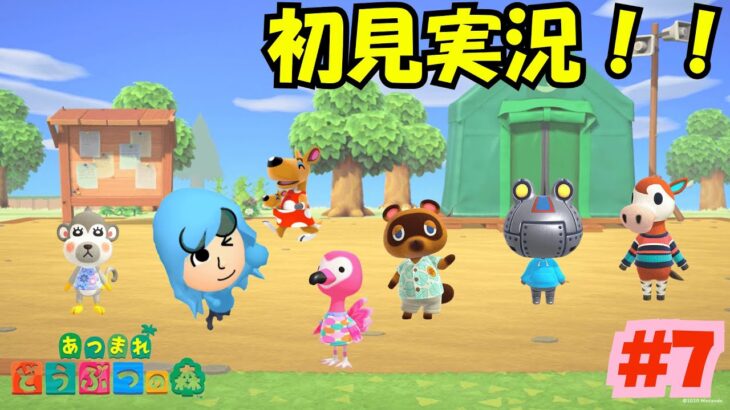 【あつまれどうぶつの森】#7 博物館完成か！？