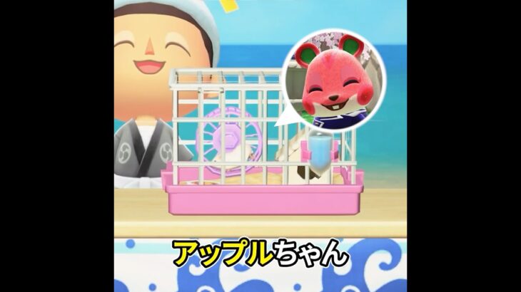 時のオカリナで7年前へ #あつ森 #あつ森アプデ