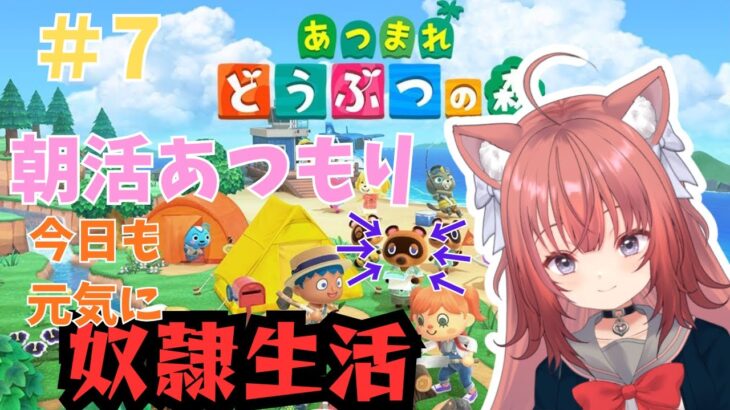 【あつ森】朝活あつ森　今日も元気に奴隷生活【＃7】 #vtuber #新人vtuber #あつまれどうぶつの森 #あつ森  #初見さん大歓迎 #初見さん歓迎 #朝活