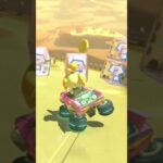 #マリオカート8dx 大会　あつ森のライブカスタム。