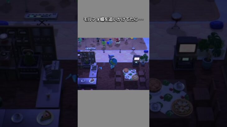 【あつ森】モルフォ蝶を追いかけていたら･･･んん？！どこ行った？！😳消えた？！😱【あつまれどうぶつの森】【どうぶつの森】【ACNH】 #short
