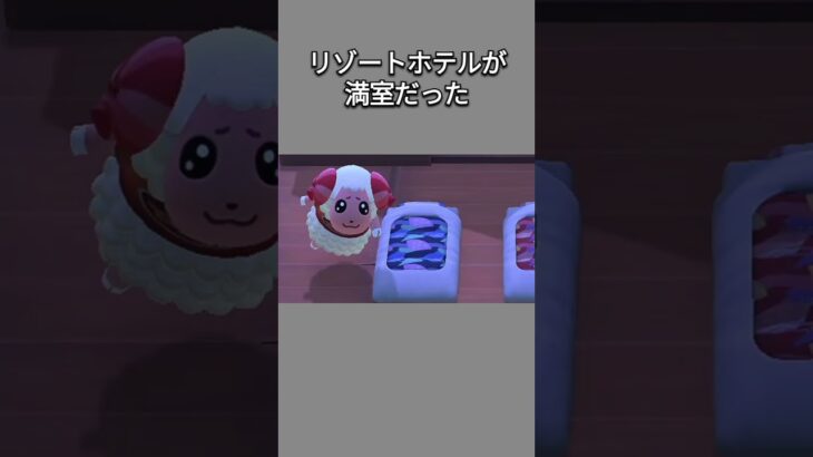 【あつ森】リゾートホテルが満室で野外に泊まることになった、ちゃちゃまるとみすず😅みすずは野外に抵抗あるみたい？😂【あつまれどうぶつの森】【どうぶつの森】【ACNH】 #short