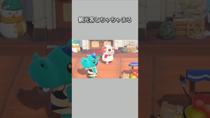 【あつ森】観光客の服装に違和感を感じたちゃちゃまる。【あつまれどうぶつの森】【どうぶつの森】【ACNH】 #short