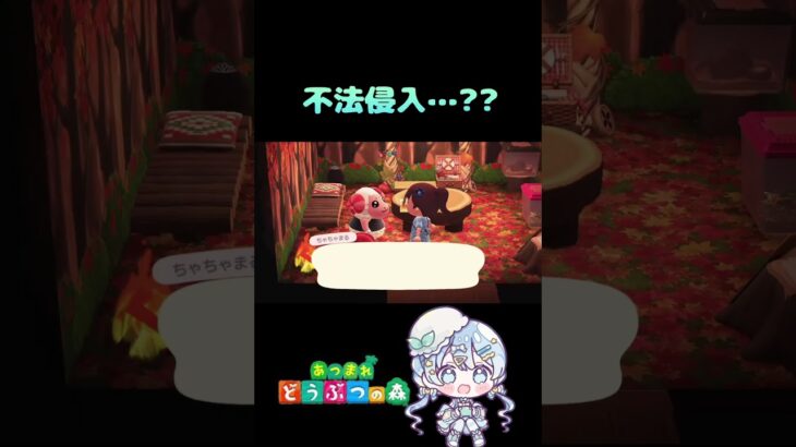 ちゃちゃまる事件#あつまれどうぶつの森 #あつ森#ACNH#shorts
