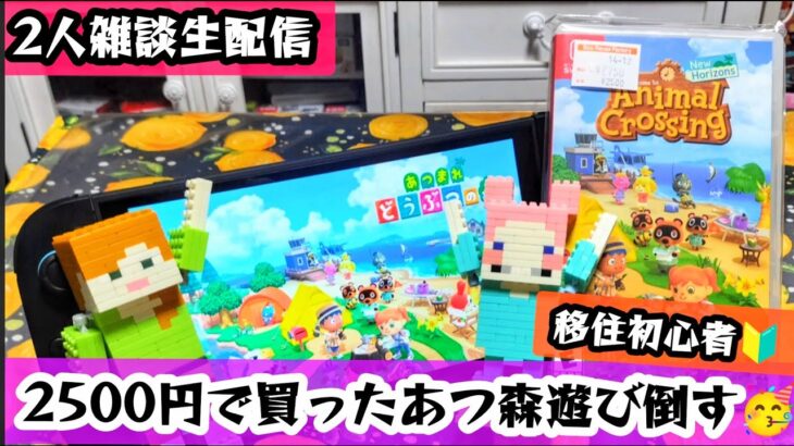 【二人雑談生配信】完全初見🌲あつ森初めての借金返済だなも💰博物館もオープン予定🦉自分への誕プレ🎁あつまれどうぶつの森/Animal Crossing New Horizons【ニライブ】