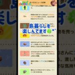 【あつ森】島暮らしをさらに楽しくする島新聞💕タヌポータルから見れます😊 #どうぶつの森 #AnimalCrossing #ACNH #タヌポータル #島新聞