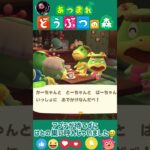 【あつ森】待てない💦アプデが待てずに､はとの巣に呼んじゃいました😊 #どうぶつの森 #AnimalCrossing #ACNH #NintendoSwitch #かっぺいファミリー #リセットさん